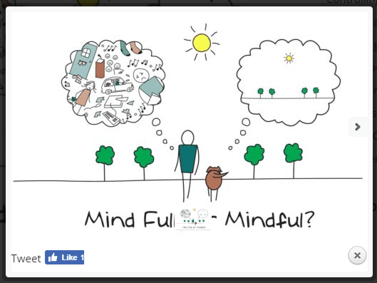 Mindfulness
